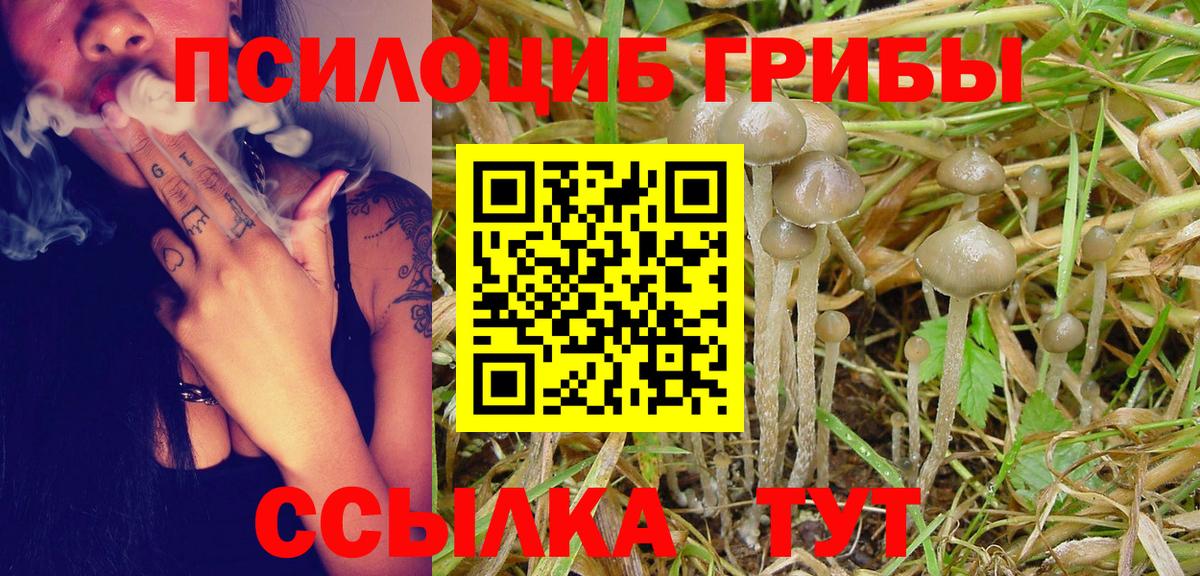 Псилоцибиновые грибы мицелий  купить наркотики цена  Семилуки  Вход с VPN 