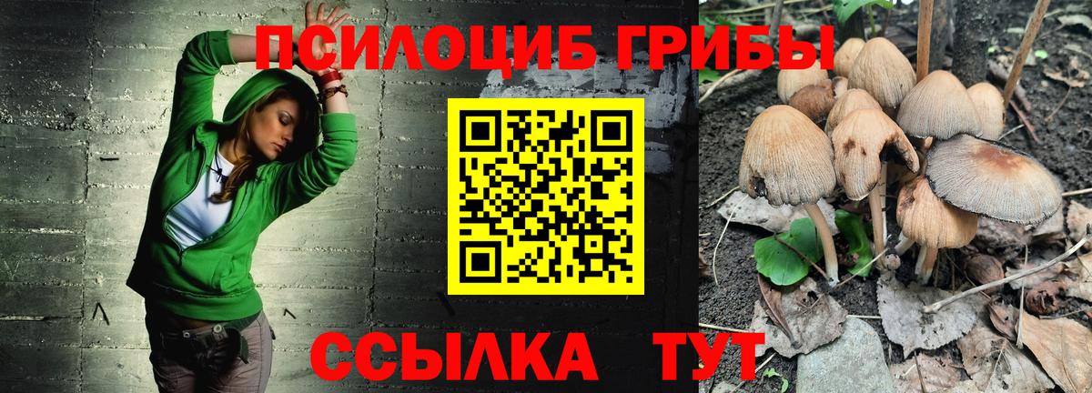 Псилоцибиновые грибы мицелий Семилуки