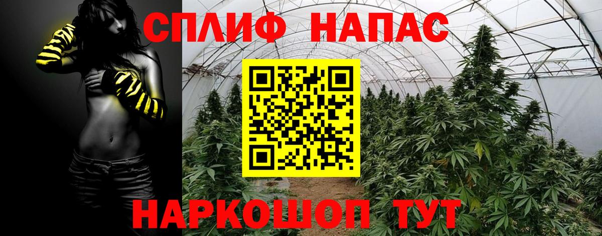 Марихуана Amnesia  Каннабис конопля  Вход с VPN  Бошки марихуана SATIVA & INDICA  Семилуки 